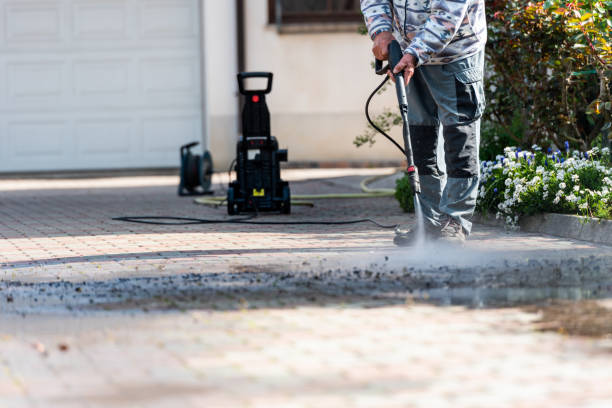 Best House Pressure Washing  in Wyong, MI