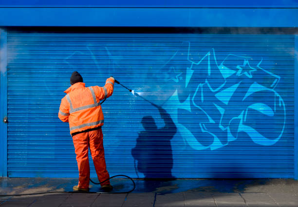 Best Residential Pressure Washing Services  in Wyong, MI