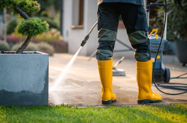 Roof Power Washing Services in Wyoming, MI